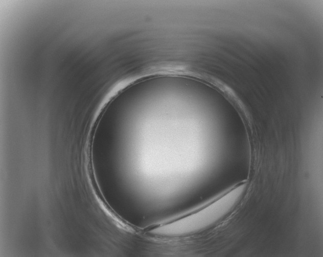 X0000081451432200701191702