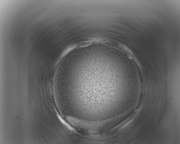 X0000081451433200701191702