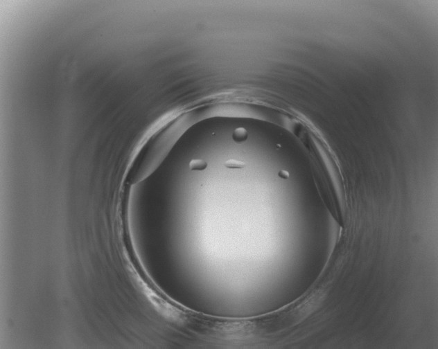 X0000081451434200701191702