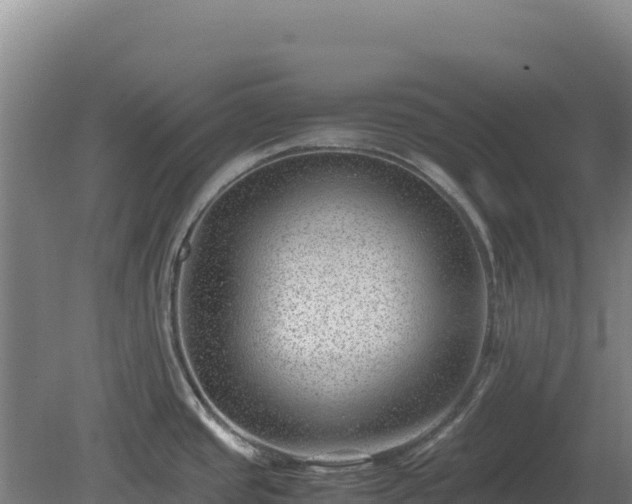 X0000081451437200701191702