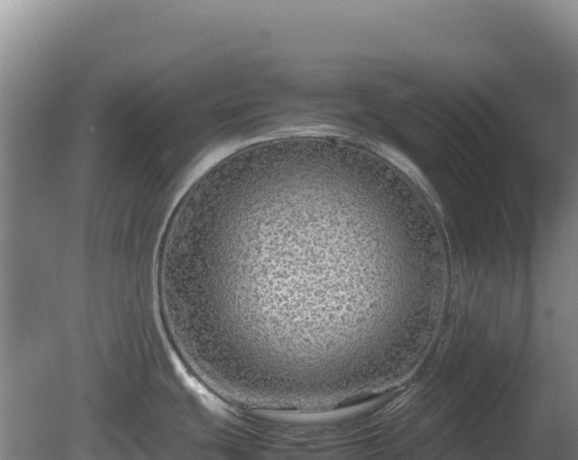X0000081451439200701191702
