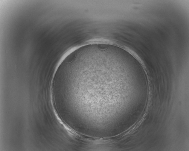 X0000081451440200701191702