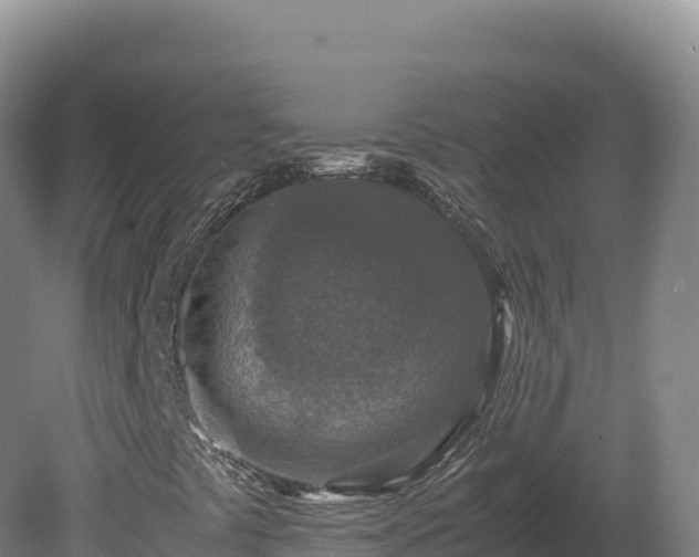 X0000081451441200701191701