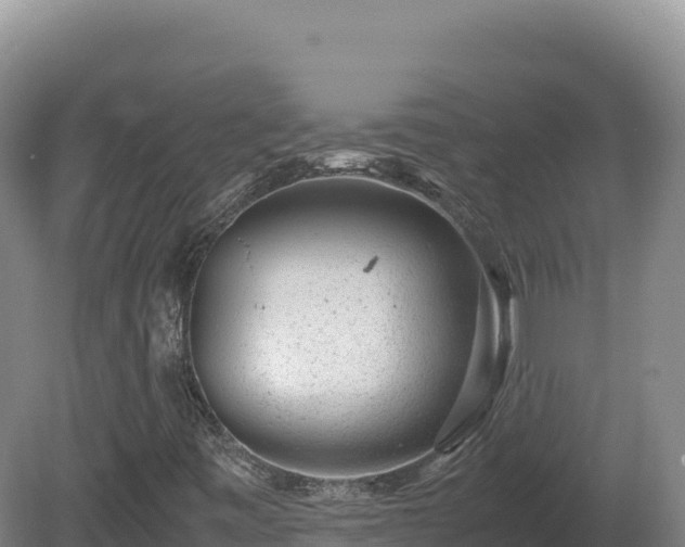 X0000081451443200701191701