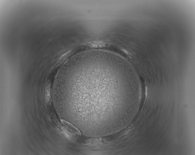 X0000081451444200701191701