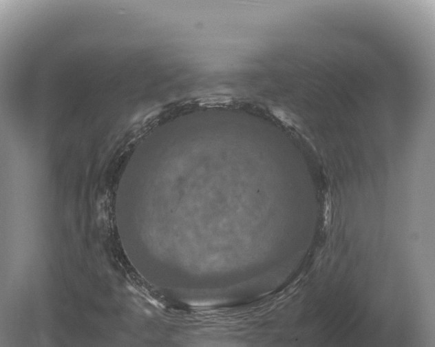 X0000081451445200701191701