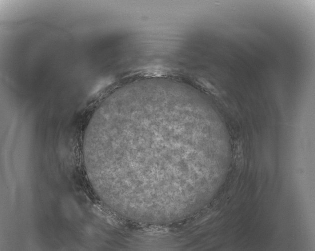 X0000081451446200701191701