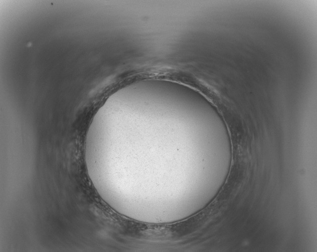 X0000081451447200701191701