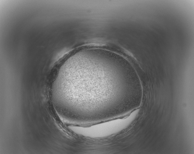 X0000081451448200701191701