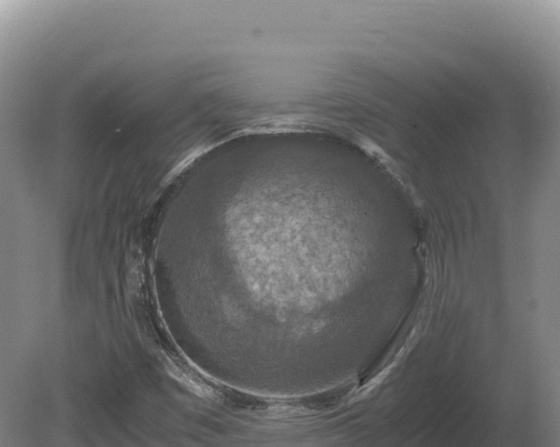 X0000081451449200701191701