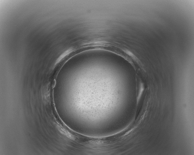 X0000081451450200701191701