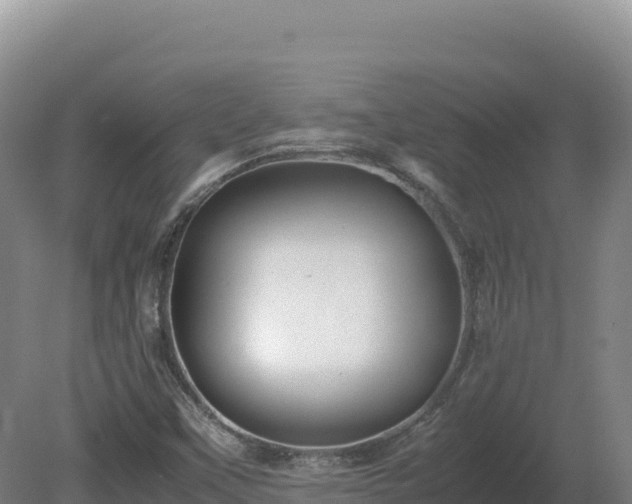 X0000081451451200701191701