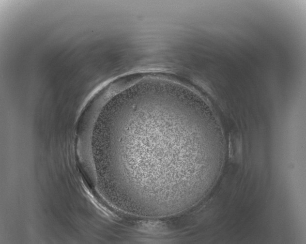 X0000081451452200701191701