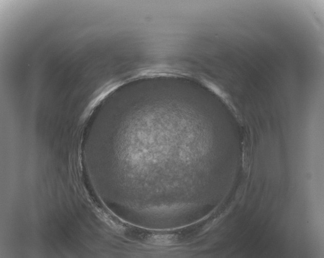 X0000081451453200701191701