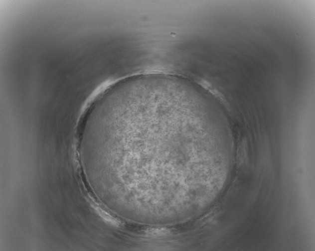 X0000081451454200701191701