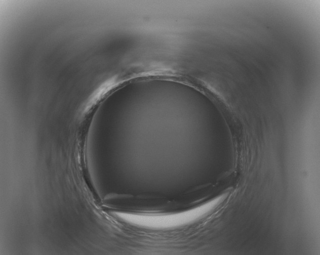 X0000081451455200701191701