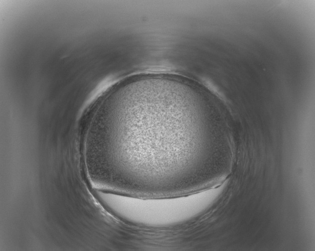 X0000081451456200701191701