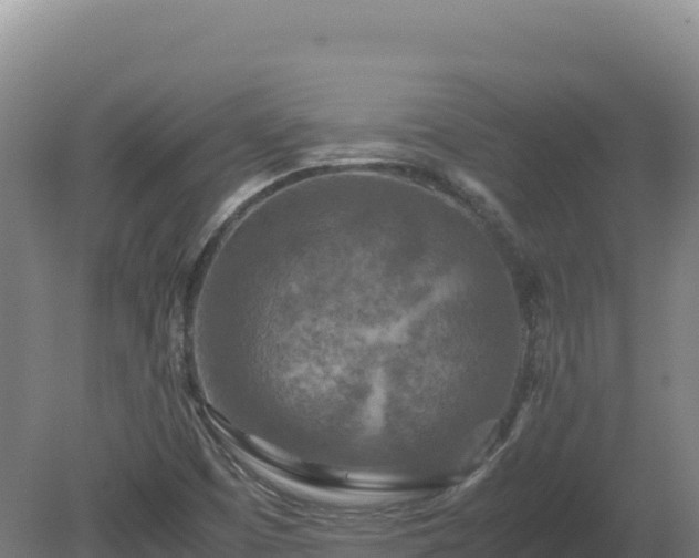 X0000081451457200701191701