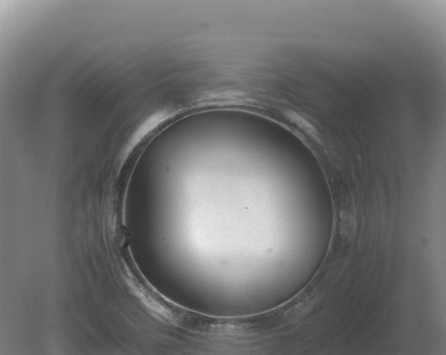 X0000081451458200701191701