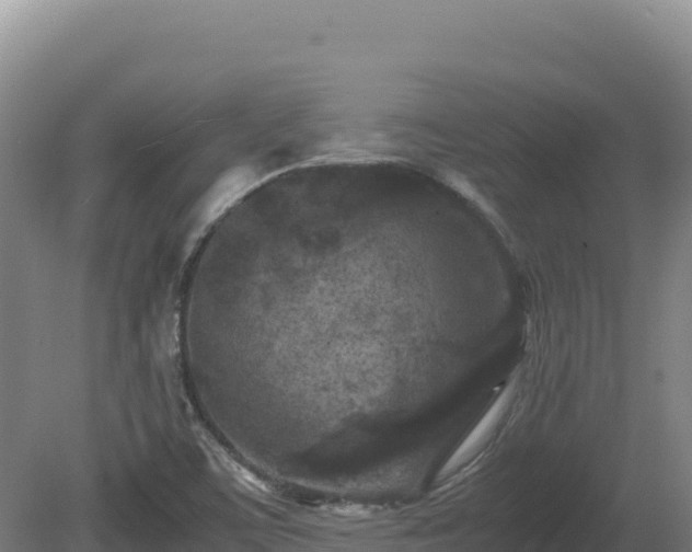 X0000081451459200701191701