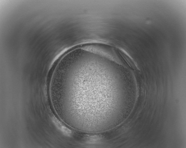 X0000081451460200701191701