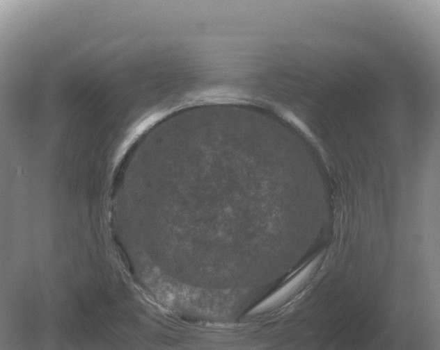 X0000081451461200701191701