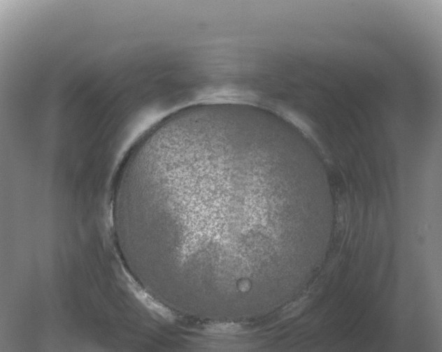 X0000081451462200701191701