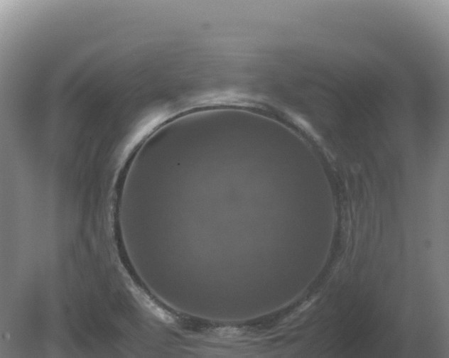 X0000081451463200701191701