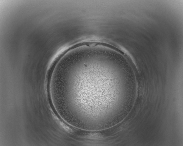 X0000081451464200701191701