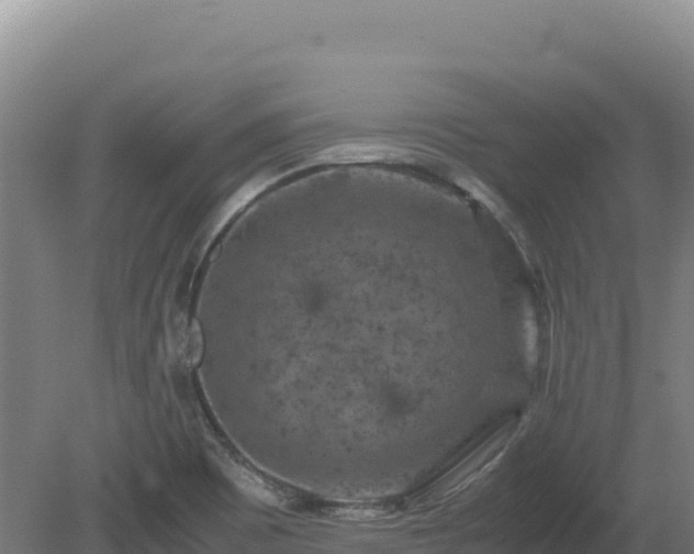 X0000081451465200701191701