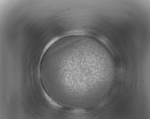 X0000081451466200701191701