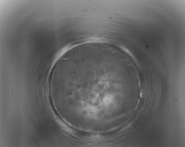 X0000081451467200701191701