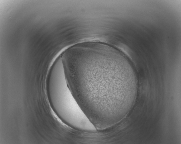 X0000081451468200701191701