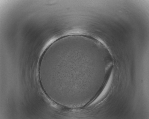 X0000081451469200701191701