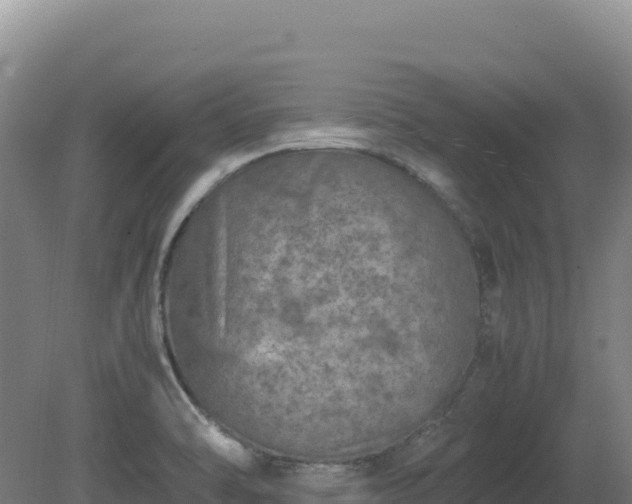 X0000081451470200701191701