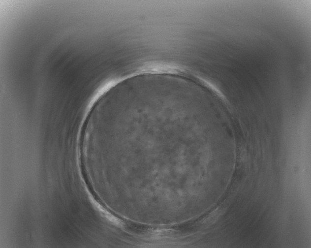 X0000081451471200701191701