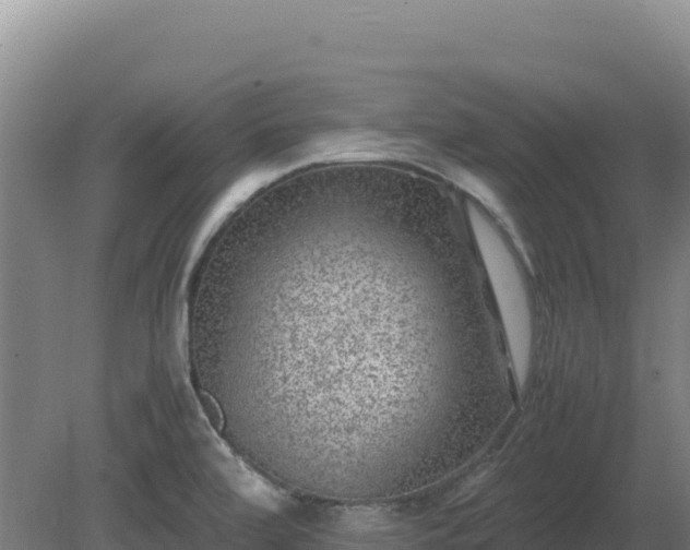 X0000081451472200701191701