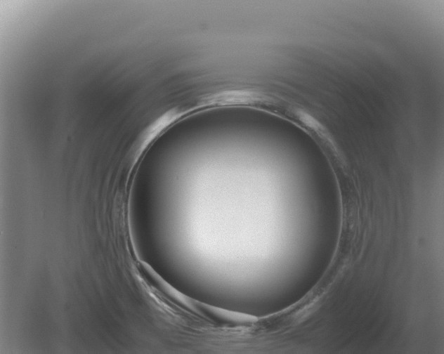 X0000081451473200701191701