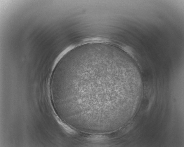 X0000081451474200701191701