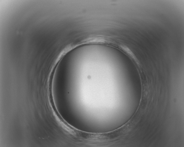 X0000081451475200701191701