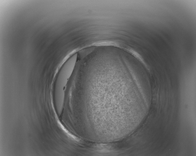 X0000081451476200701191701