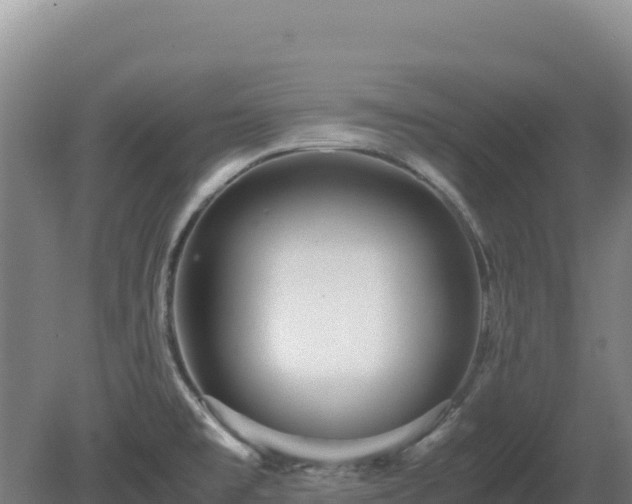 X0000081451477200701191701