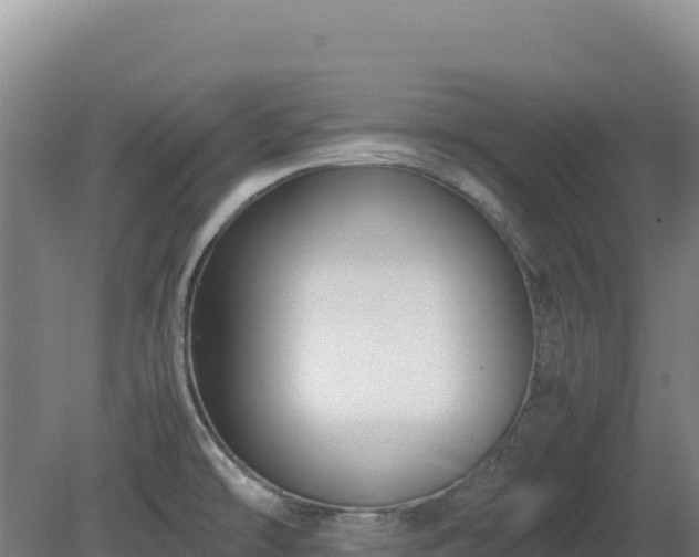 X0000081451478200701191701