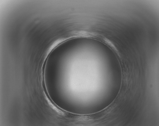 X0000081451479200701191701