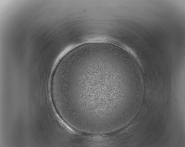 X0000081451480200701191701