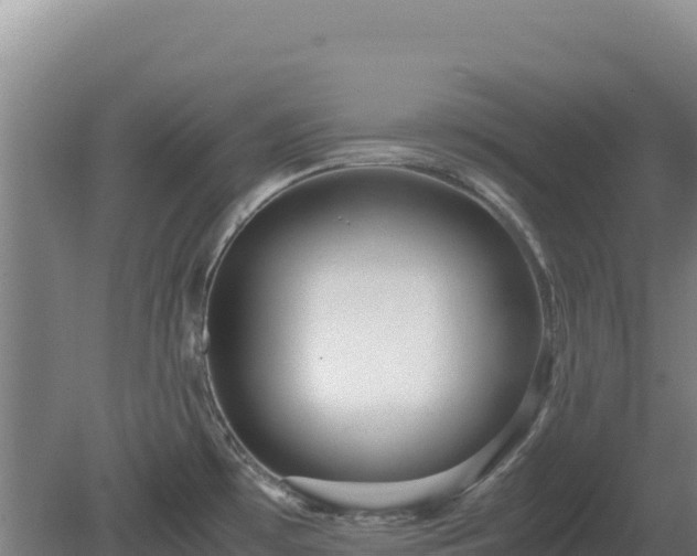 X0000081451481200701191701