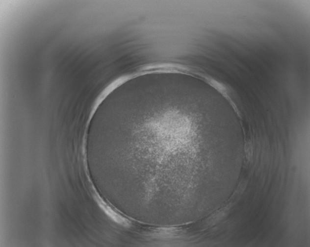 X0000081451482200701191701