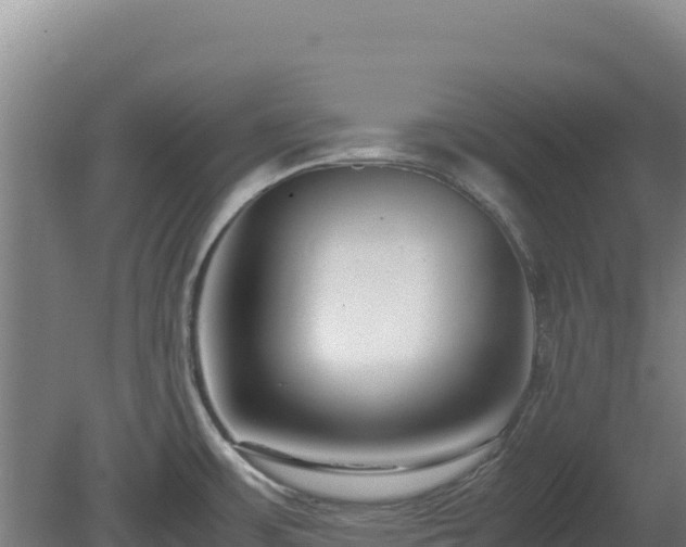 X0000081451483200701191701