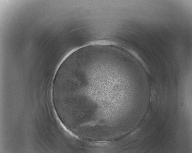 X0000081451484200701191701