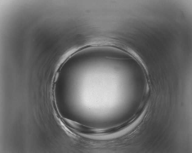 X0000081451485200701191701